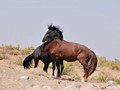 _DSC0900