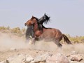 _DSC0904