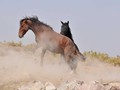 _DSC0907