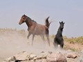 _DSC0912