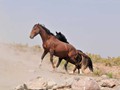 _DSC0915