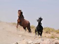 _DSC0917