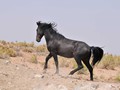 _DSC0925