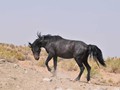 _DSC0926