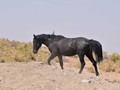 _DSC0927